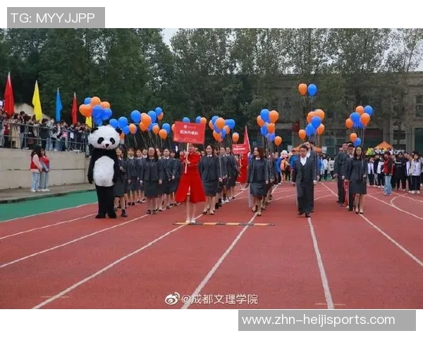 足球场上的激情与梦想交织成的诗篇